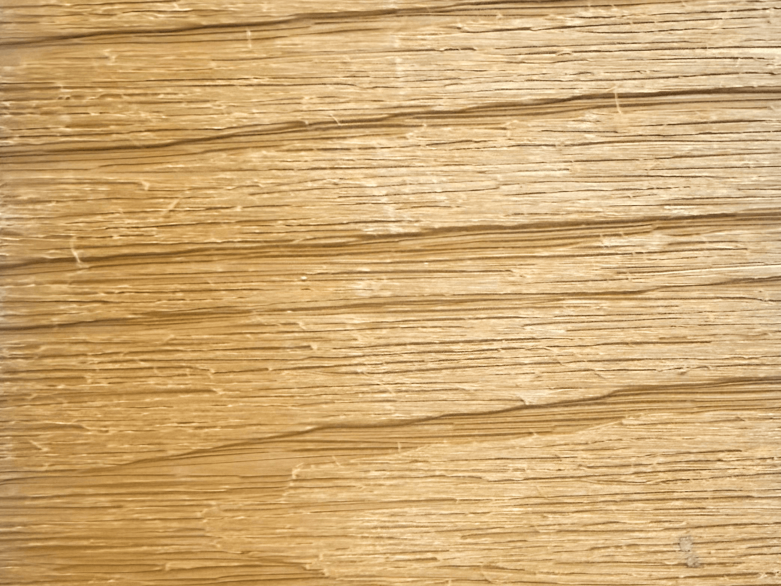 Redwood Ember
