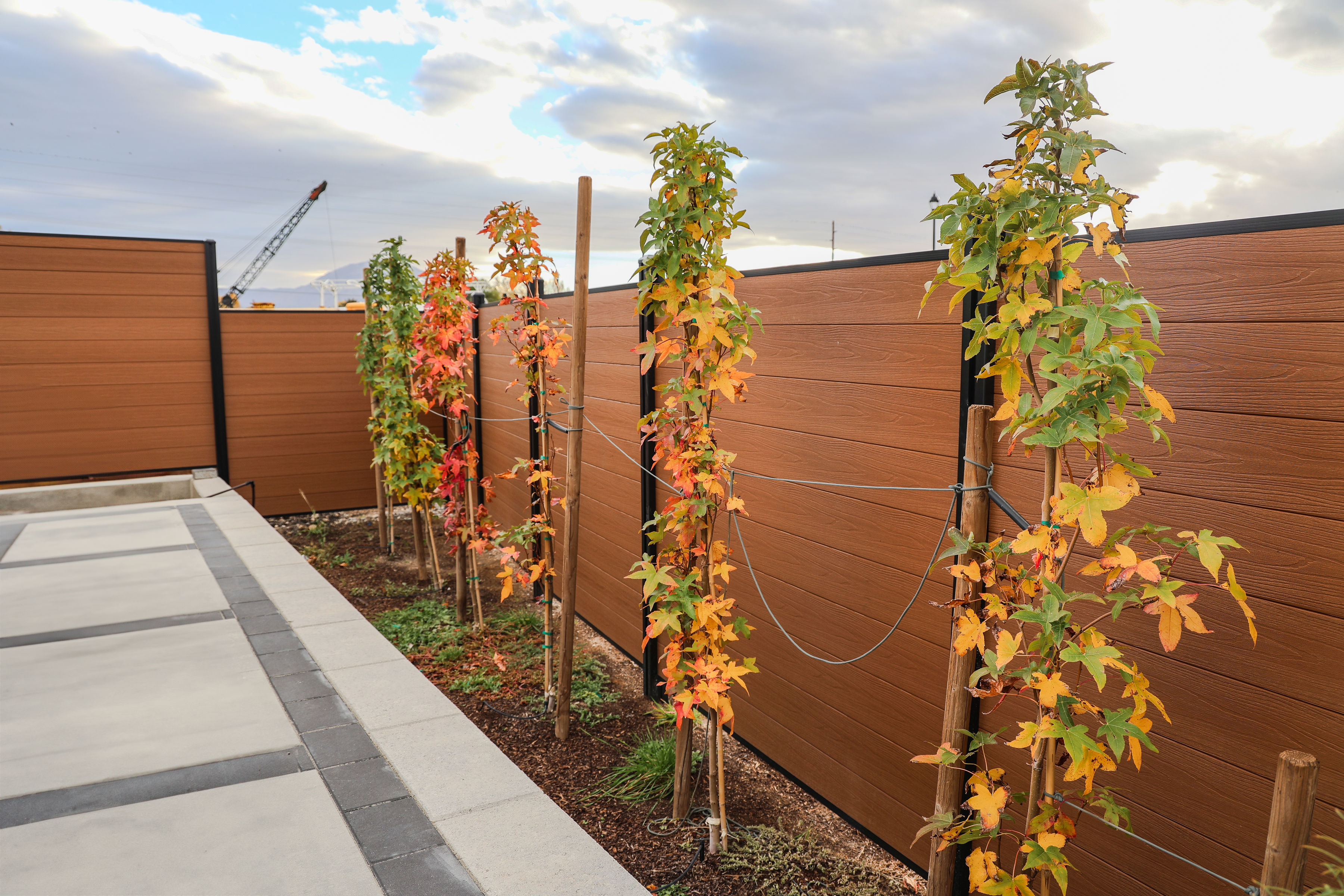 Commercial Excellence